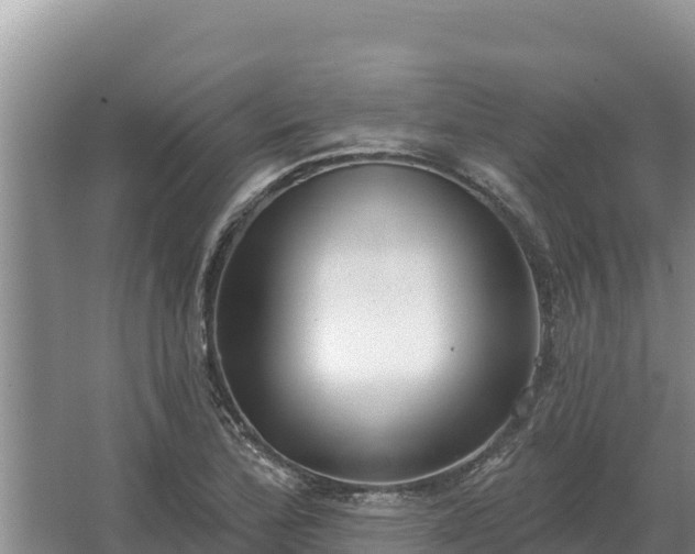 X0000067391172200604071746