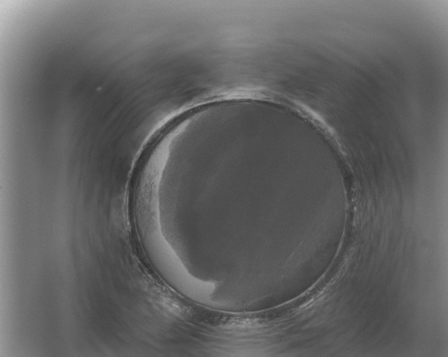 X0000067391174200604071746