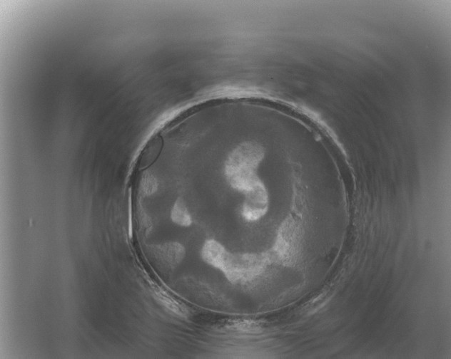 X0000067391175200604071746