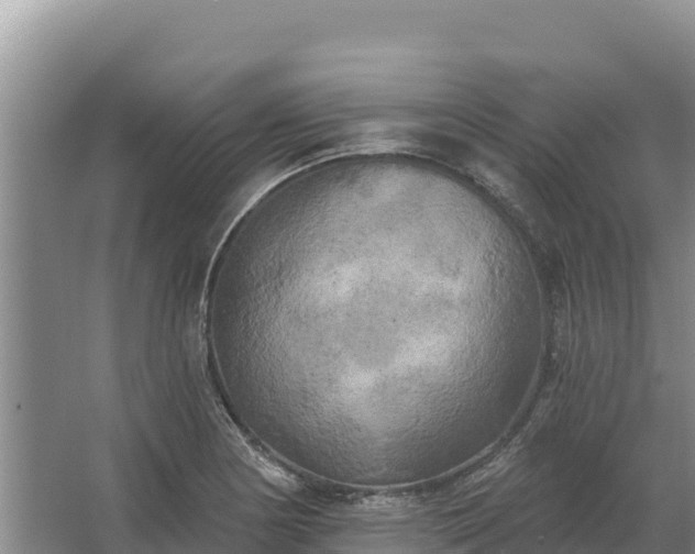 X0000067391178200604071746