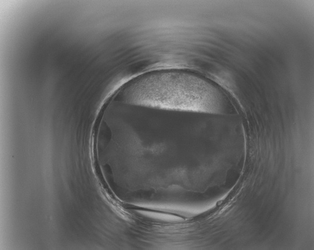 X0000067391179200604071746