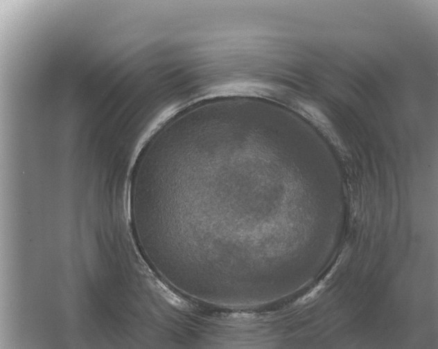 X0000067391180200604071746