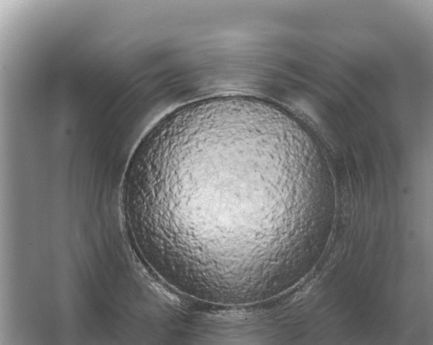 X0000067391182200604071746