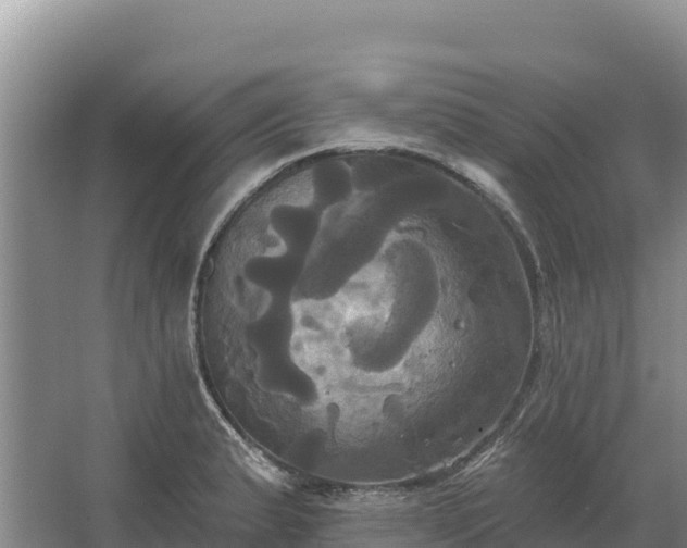 X0000067391183200604071746