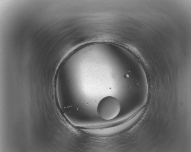 X0000067391184200604071746