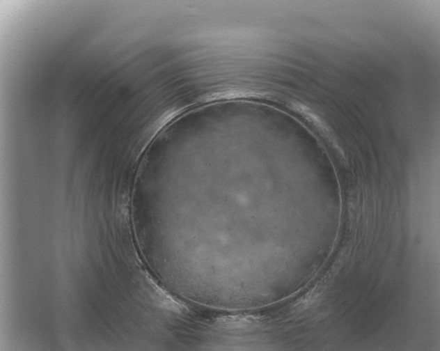 X0000067391185200604071746