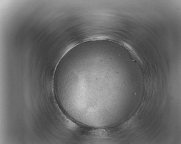 X0000067391186200604071745