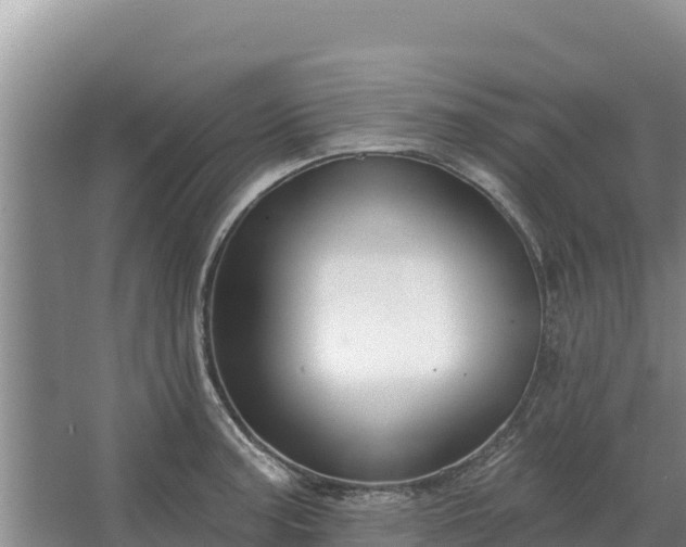 X0000067391187200604071745