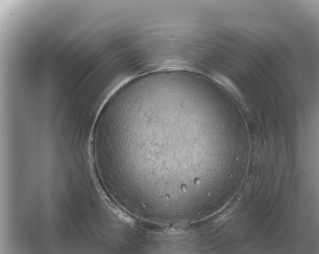 X0000067391190200604071745