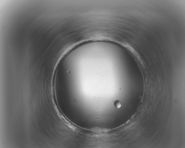 X0000067391191200604071745