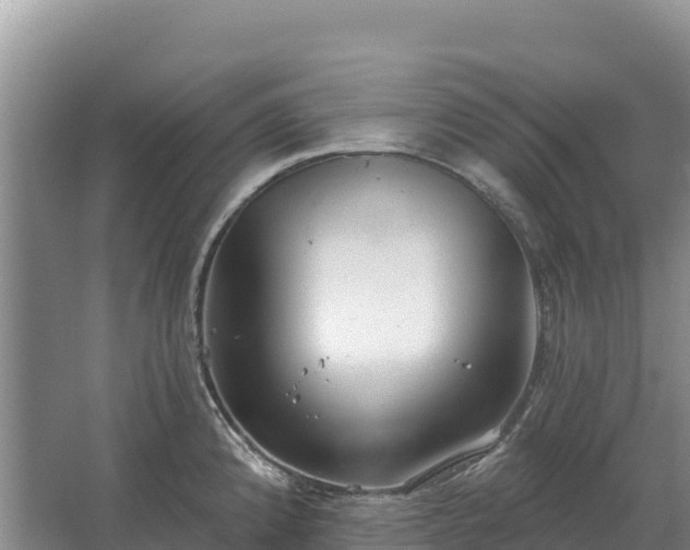 X0000067391192200604071745