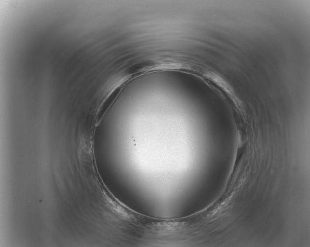 X0000067391193200604071745