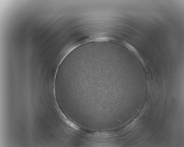 X0000067391194200604071745