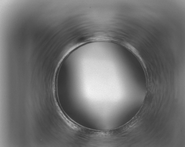 X0000067391195200604071745