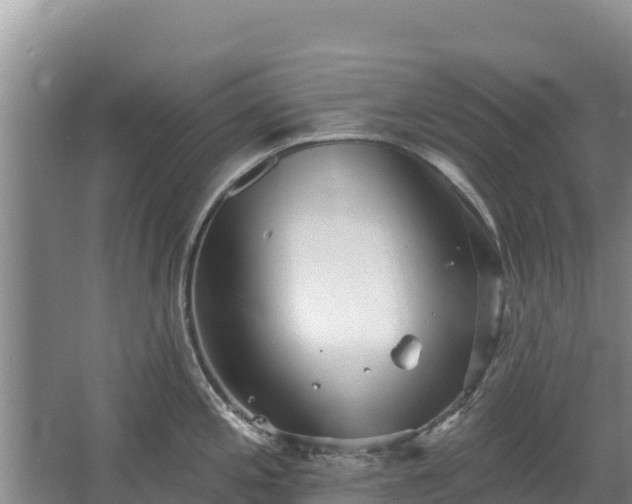 X0000067391197200604071745