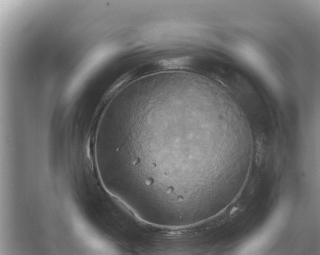 X0000067391198200604071745