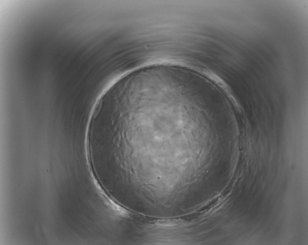 X0000067391199200604071745