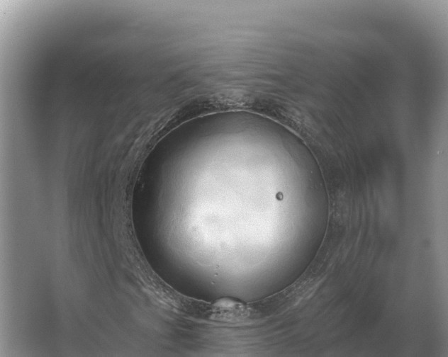 X0000067391201200604071744