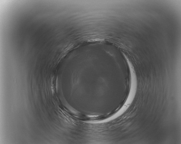 X0000067391202200604071744