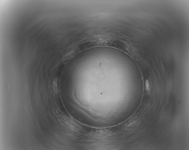 X0000067391203200604071744