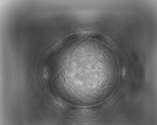 X0000067391204200604071744