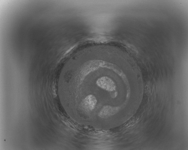 X0000067391205200604071745