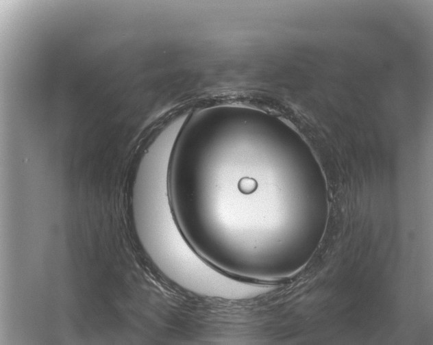 X0000067391206200604071745