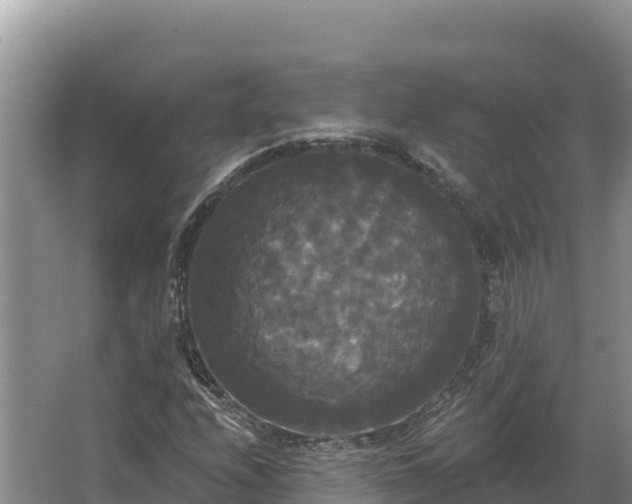 X0000067391208200604071745