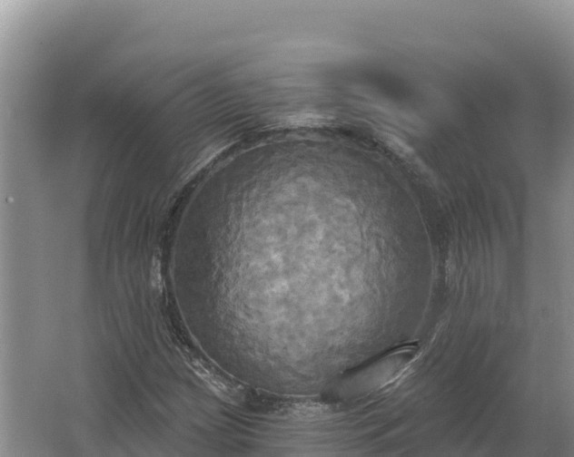 X0000067391209200604071745