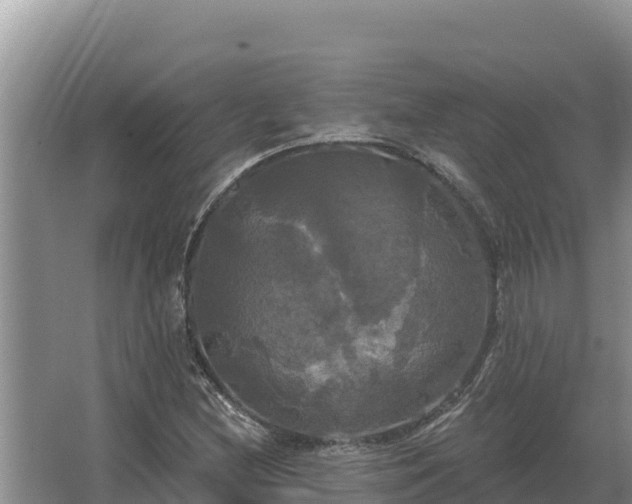 X0000067391212200604071745