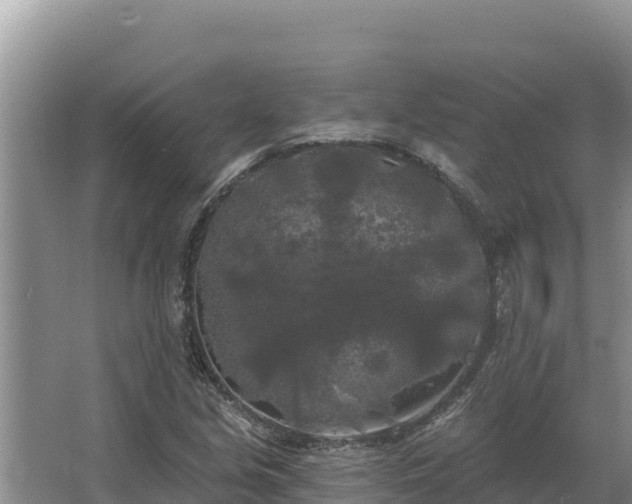 X0000067391213200604071745