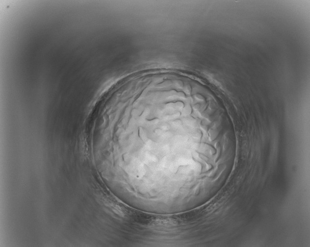 X0000067391215200604071745