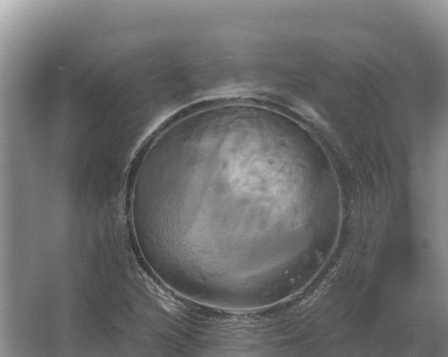 X0000067391216200604071745