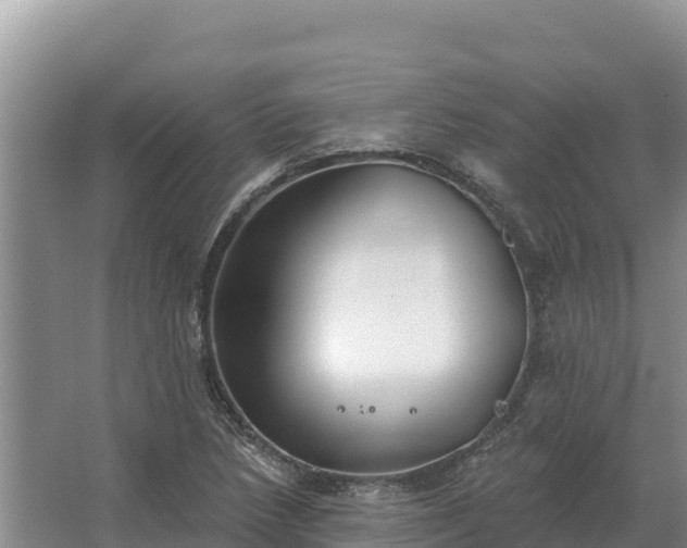 X0000067391218200604071745