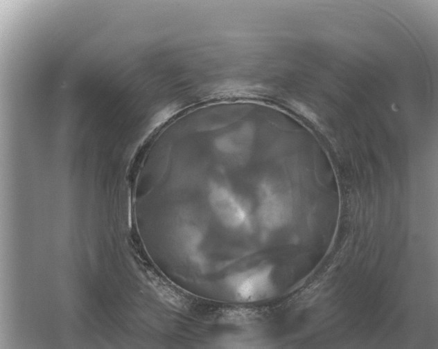 X0000067391219200604071745