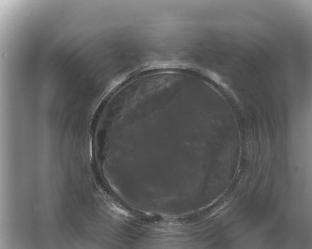 X0000067391221200604071745