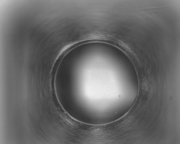 X0000067391222200604071745