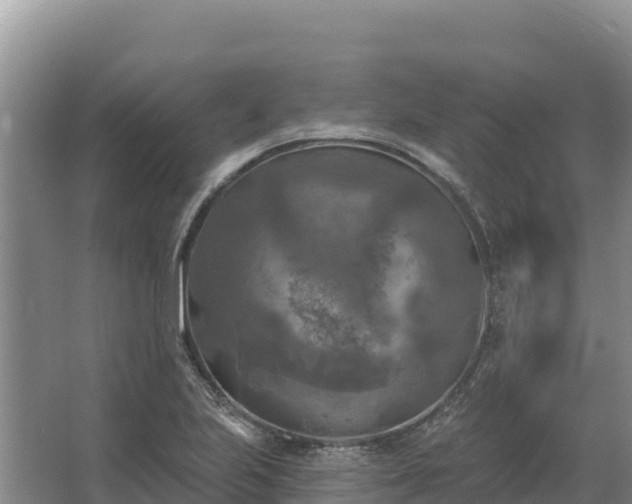 X0000067391223200604071745