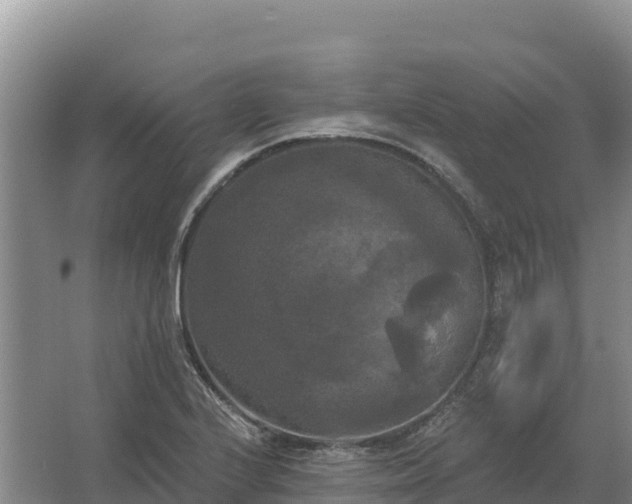 X0000067391224200604071745