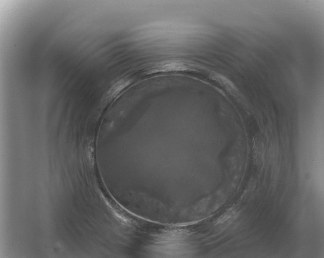 X0000067391225200604071745