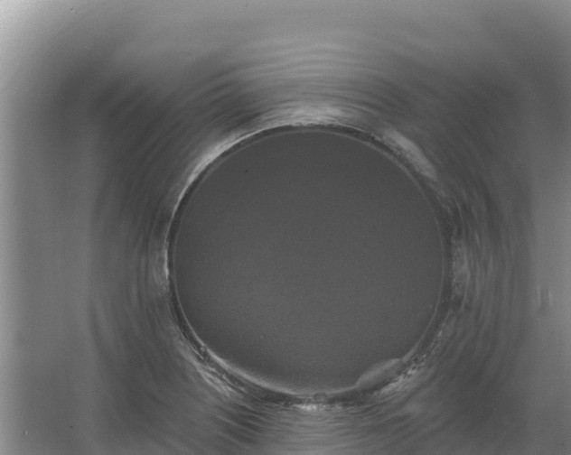 X0000067391226200604071745