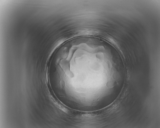 X0000067391227200604071745