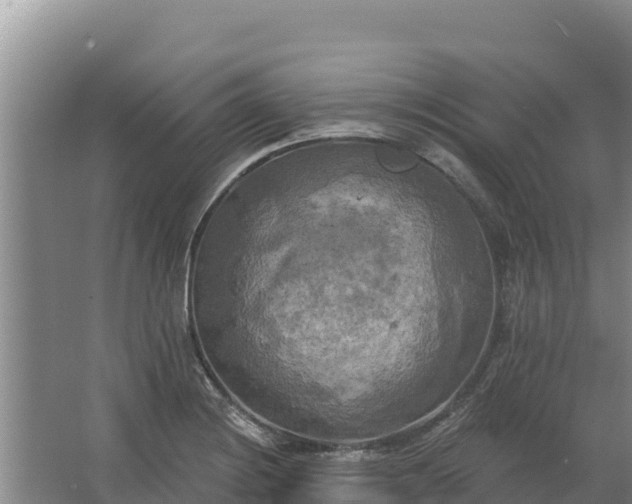 X0000067391228200604071745