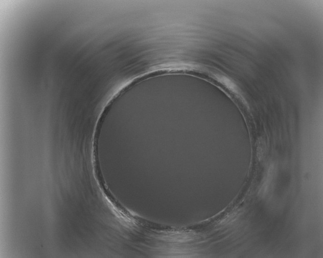 X0000067391229200604071745