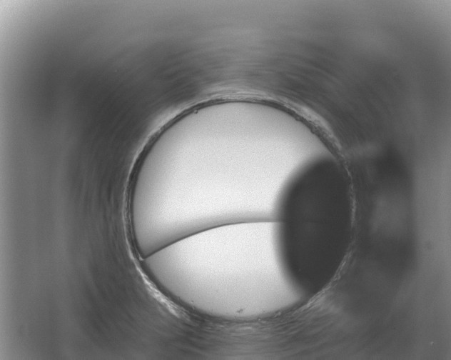 X0000067391231200604071745