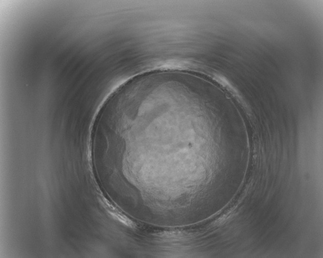 X0000067391232200604071745