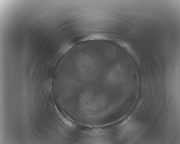 X0000067391233200604071745