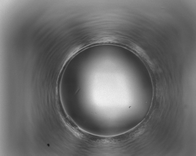 X0000067391234200604071745