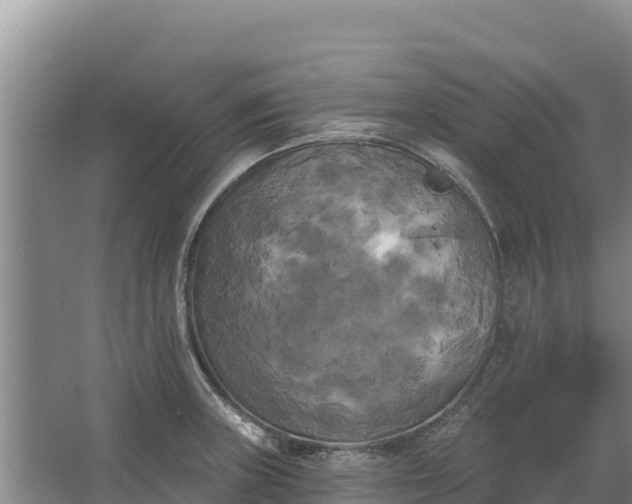 X0000067391235200604071745