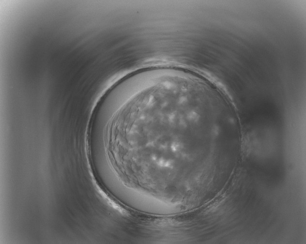 X0000067391239200604071745